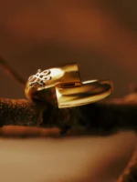 Anel Voltas - Imagem 4