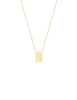 Corrente Pulsar Placa Masculina